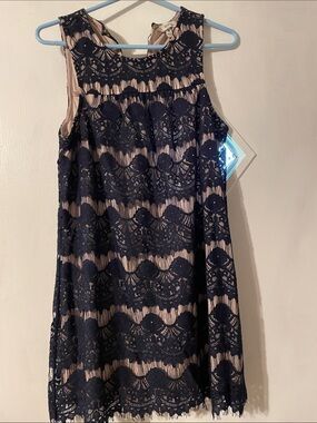 Women’s Navy Lace Overlay Dress with Blush Lining
